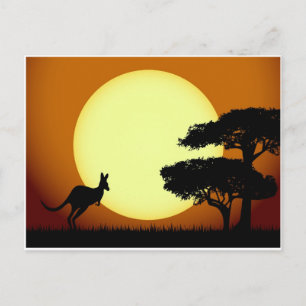 Kangaroo bij zonsondergang briefkaart