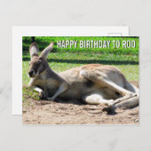 Kangaroo Bonne Anniversaire à Roo Carte Postale (Devant / Derrière)