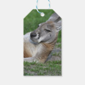 Kangaroo Cadeaulabel (Voorkant)