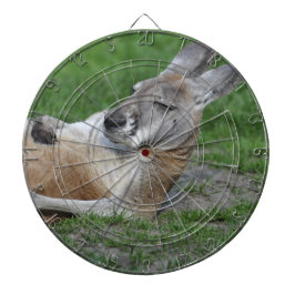 Kangaroo Dartbord