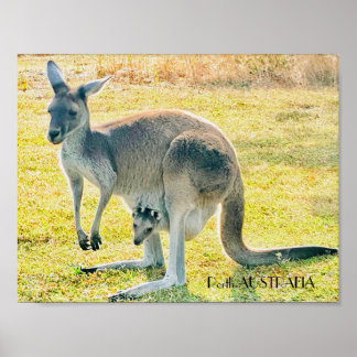 Kangaroo en Baby Poster