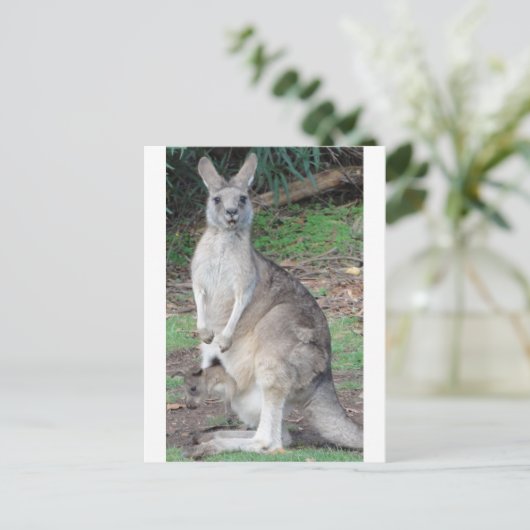 Kangaroo en Joey Briefkaart (Staand voorkant)