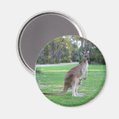 Kangaroo en Joey Magneet (Voorkant / Achterkant)