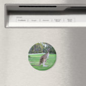 Kangaroo en Joey Magneet (Insitu (Vaatwasser))