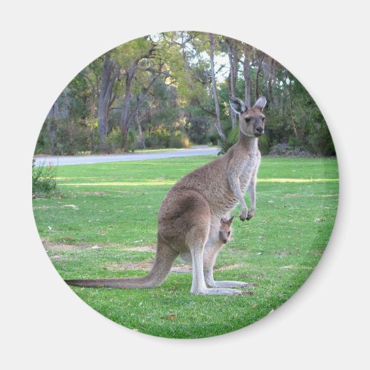 Kangaroo en Joey Magneet (Voorkant)