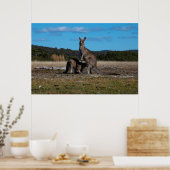 Kangaroo en Joey Poster (Keuken)