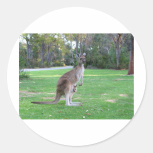 Kangaroo en Joey Ronde Sticker