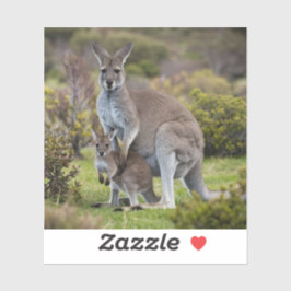 Kangaroo en Joey Sticker