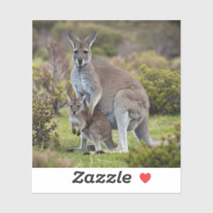 Kangaroo en Joey Sticker