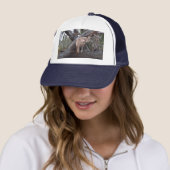 Kangaroo Et Gommes, Casquettes (En situation)