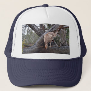 Kangaroo Et Gommes, Casquettes