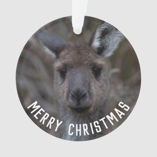 Kangaroo Face Australie Joyeux Noël (devant)