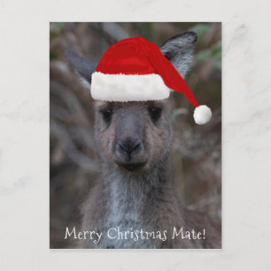 Kangaroo Face Santa Hat Merry Kerstmis Briefkaart