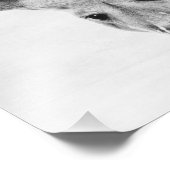 Kangaroo Foto Afdruk (Hoek)