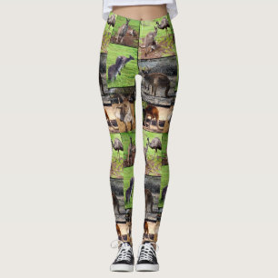 Kangaroo Foto Collage, Dames Leggings