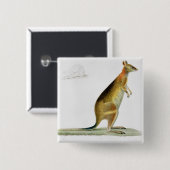 Kangaroo, gegraveerd door Coutant Vierkante Button 5,1 Cm (Voorkant /achterkant)
