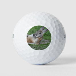 Kangaroo Golfballen