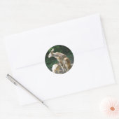 Kangaroo Joey Stickers (Envelop)