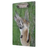 Kangaroo Klembord (Links)