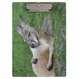 Kangaroo Klembord