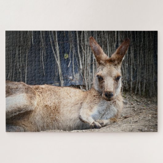 Kangaroo Legpuzzel (Horizontaal)