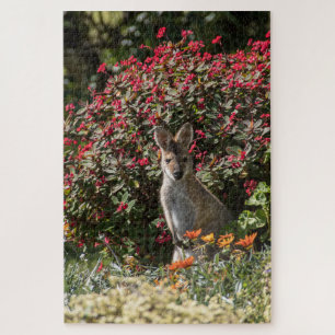 Kangaroo Legpuzzel