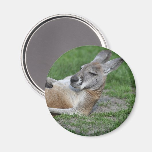 Kangaroo Magneet (Voorkant / Achterkant)