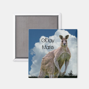 Kangaroo Magnet Magneet