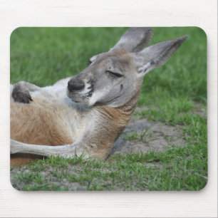 Kangaroo Muismat