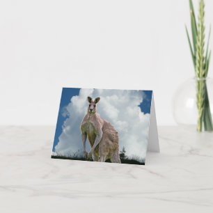 Kangaroo Notecard Kaart