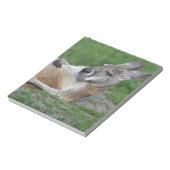 Kangaroo Notitieblok (Gedraaid)