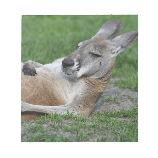 Kangaroo Notitieblok (Voorkant)