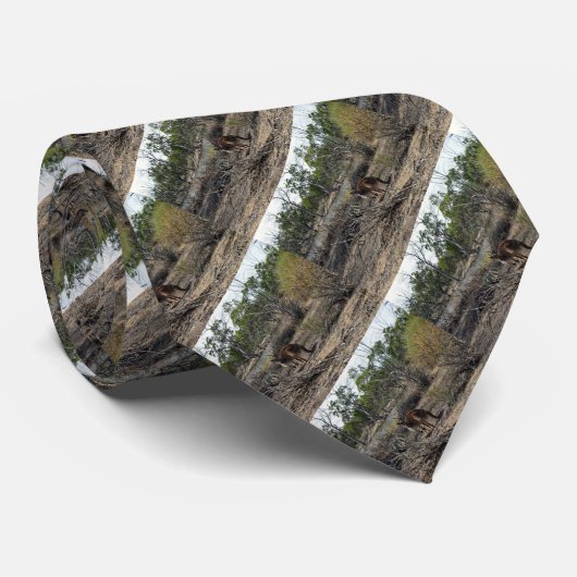 Kangaroo ondertussen in de Billabong, Stropdas (Opgerold)