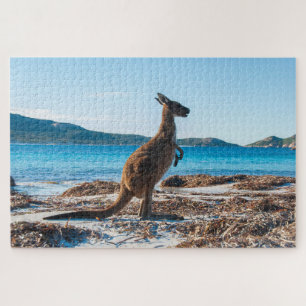 Kangaroo op het strand in Lucky Bay, 1014 stukken Legpuzzel