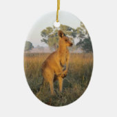 Kangaroo Ornament (Voorkant)