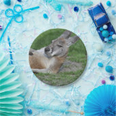 Kangaroo Papieren Bordje (Feest)