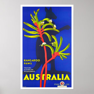 Kangaroo paws Australia vintage Poster