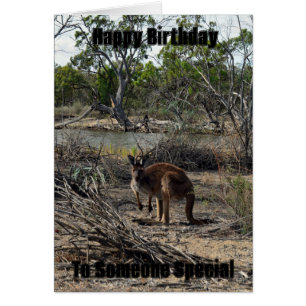Kangaroo Pendant Ce Temps Au Billabong, Carte Anni