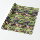 Kangaroo Photo Collage Cadeaupapier (Uitgerold)