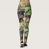 Kangaroo Photo Collage, Dames Leggings (Dos)