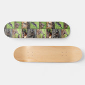 Kangaroo Photo Collage, Skateboard (Horz)