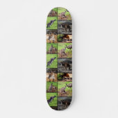 Kangaroo Photo Collage, Skateboard (Devant)