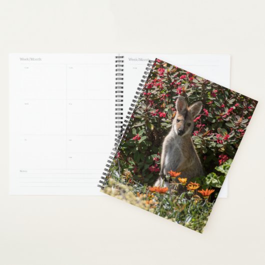Kangaroo Planner (Display)