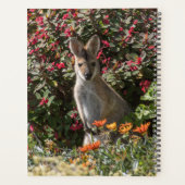 Kangaroo Planner (Achterkant)