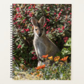 Kangaroo Planner (Voorkant)