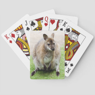 Kangaroo Pokerkaarten