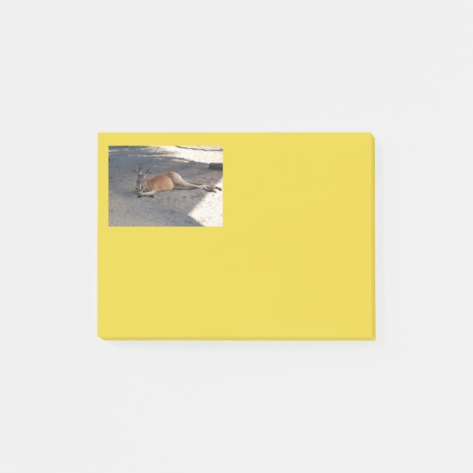 Kangaroo post de notitie post-it® notes (Voorkant)