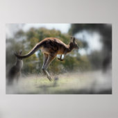 Kangaroo Poster (Voorkant)