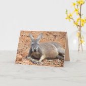 Kangaroo Relaxing Wenskaart Kaart (Gele Bloem)