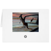 Kangaroo Seaside Breezes Illusion Art, (Achterkant Horizontaal)